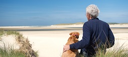 Man sitting with dog on sand dune at Dutch beach on wadden island Texel